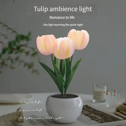 LED Tulip Night Light Can Be Plugged In Or On The Battery